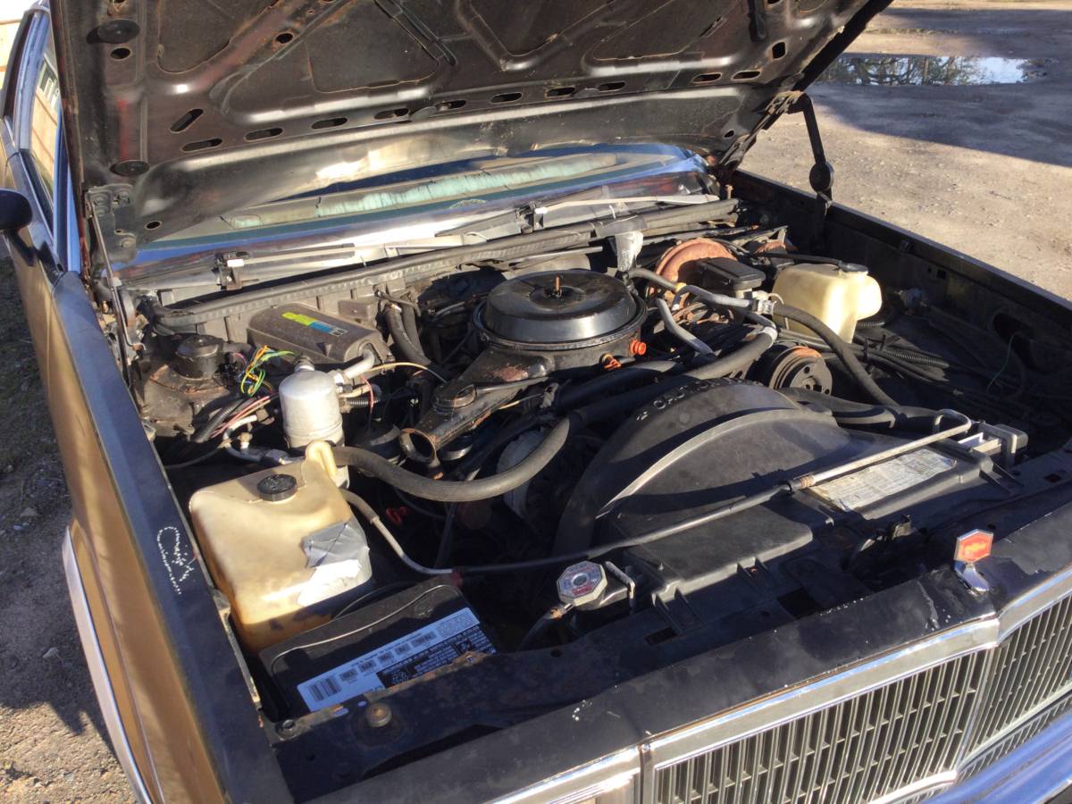 Chevy-malibu-1980-brown-5