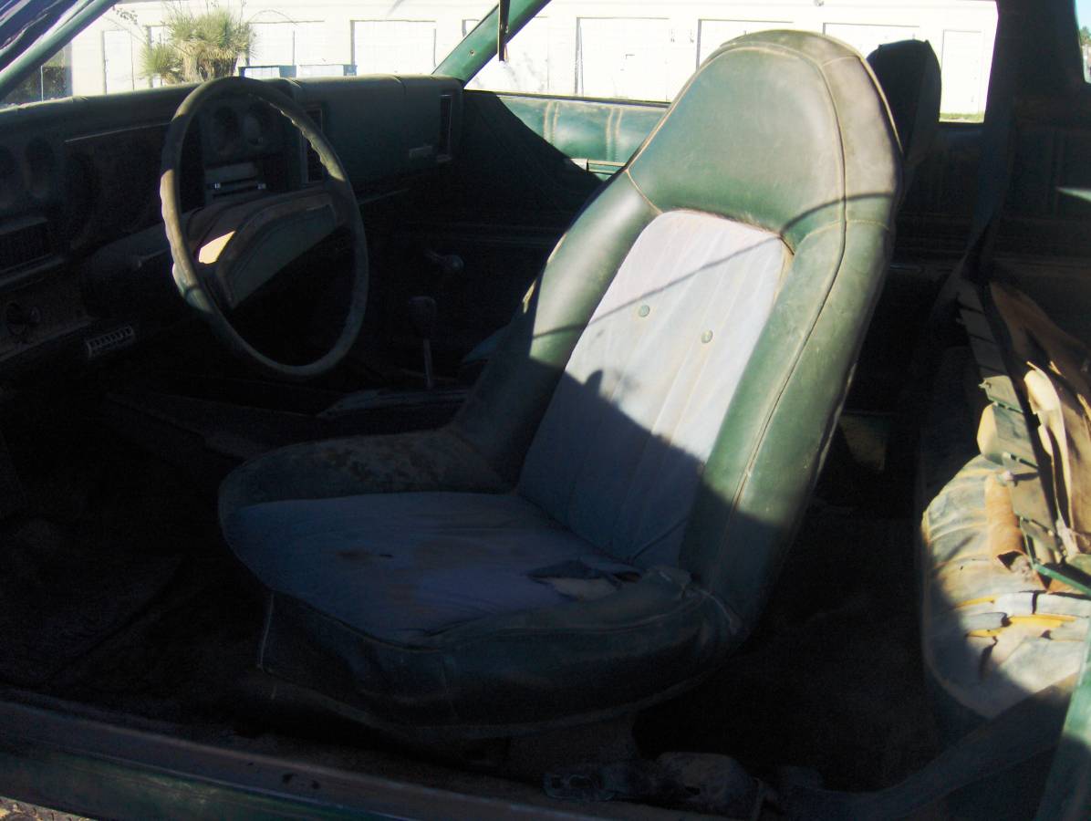 Chevy-monte-carlo-1973-green-11