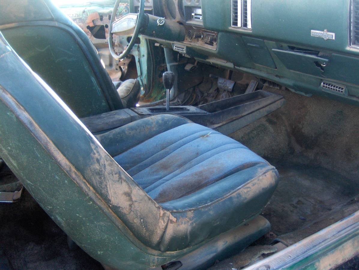 Chevy-monte-carlo-1973-green-12