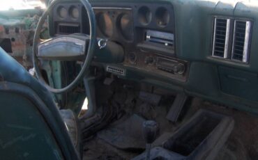 Chevy-monte-carlo-1973-green-7