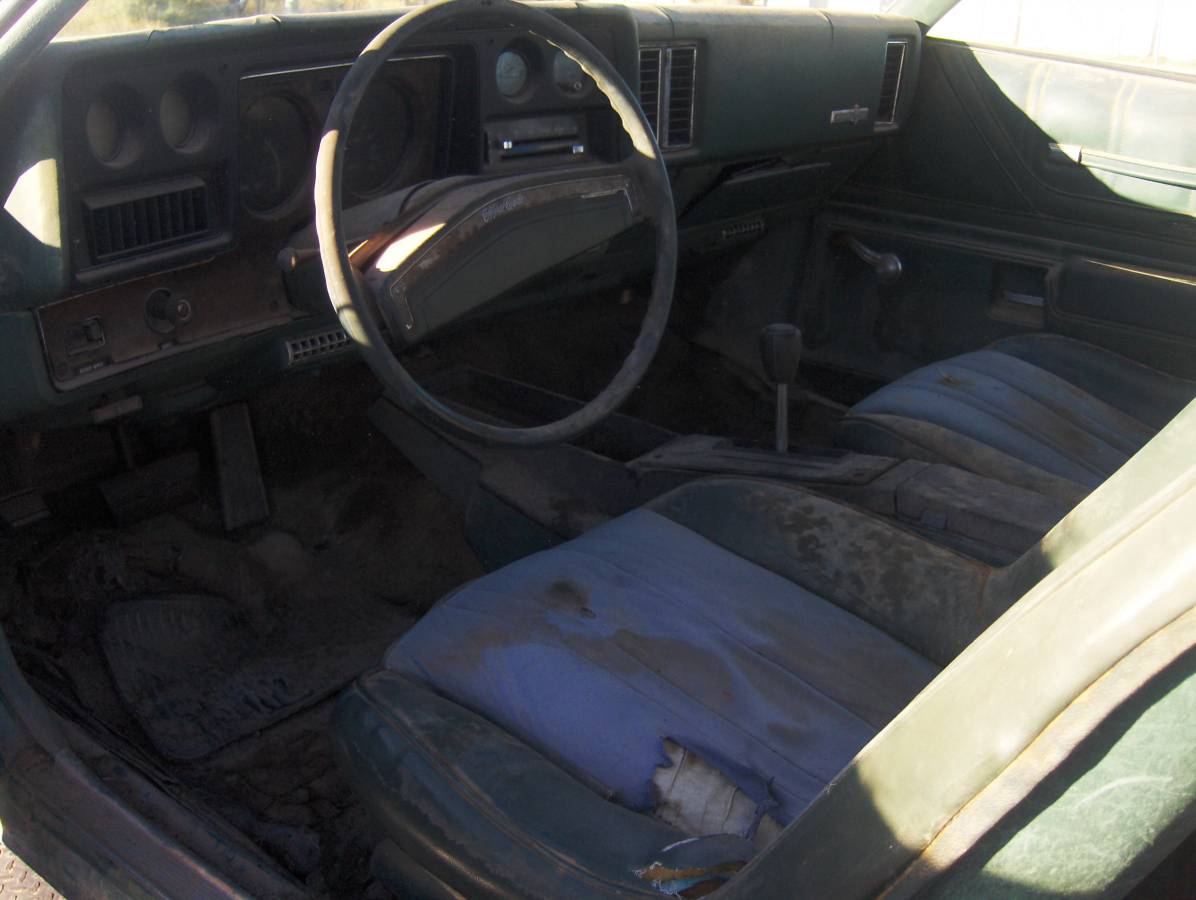 Chevy-monte-carlo-1973-green-8
