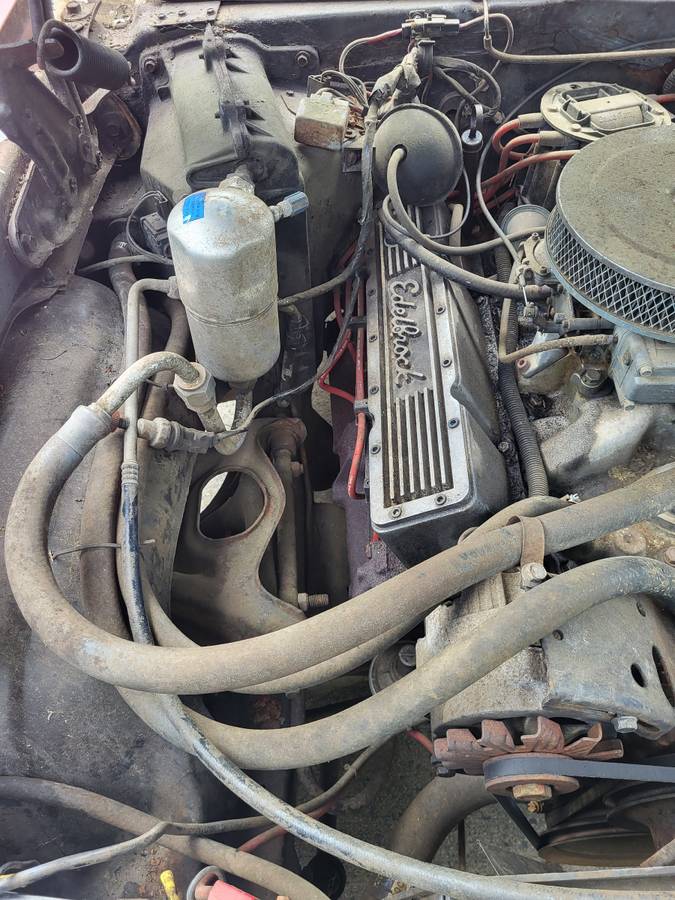 Chevy-nova-1978-red-3