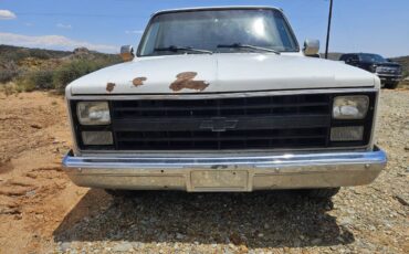 Chevy-r10c10-1987-white-1