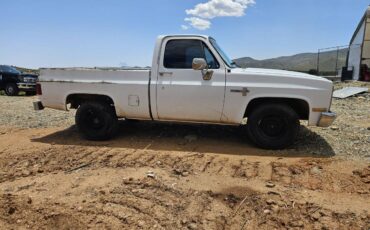 Chevy-r10c10-1987-white-4