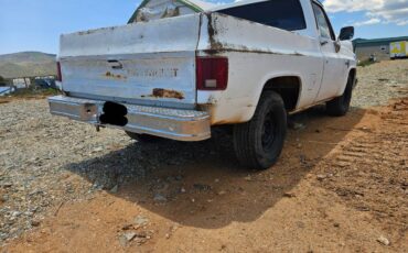 Chevy-r10c10-1987-white-5