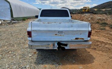 Chevy-r10c10-1987-white-6