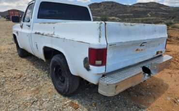 Chevy-r10c10-1987-white-8