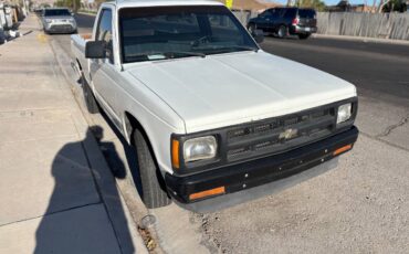 Chevy-s10-pickup-1991-white-3
