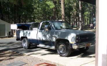 Chevy-scottsdale-1983-2