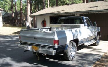Chevy-scottsdale-1983-4