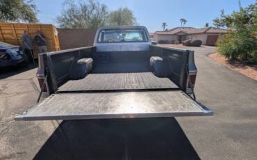 Chevy-silverado-1500-1979-silver-10