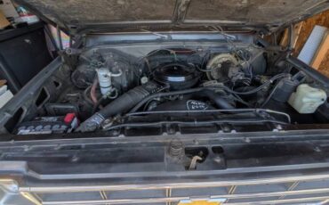 Chevy-silverado-1500-1979-silver-14