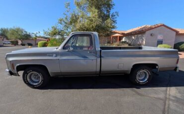 Chevy-silverado-1500-1979-silver-7