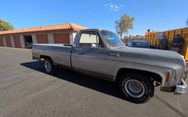 Chevy-silverado-1500-1979-silver-8