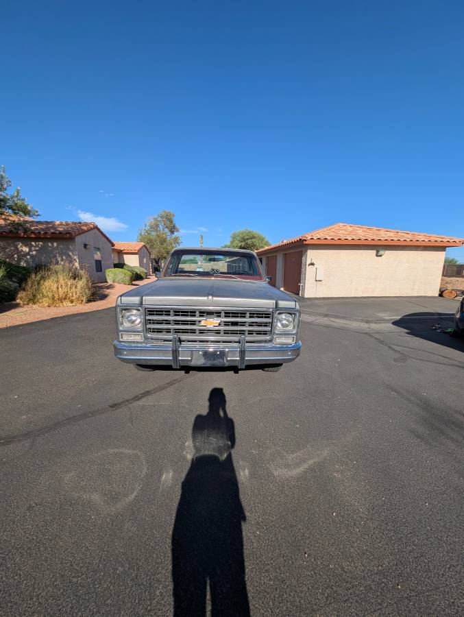 Chevy-silverado-1500-1979-silver-9