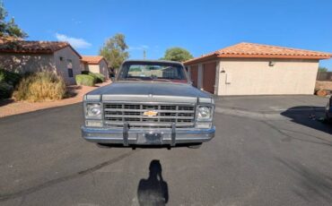 Chevy-silverado-1500-1979-silver-9