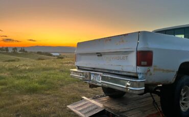 Chevy-silverado-1500-1985-custom-2