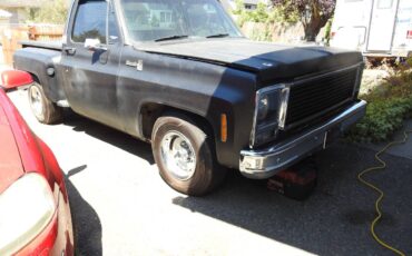 Chevy-stepside-c10-scottsdale-1979-black-22