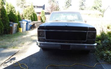 Chevy-stepside-c10-scottsdale-1979-black-3
