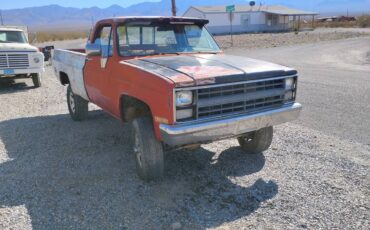 Chevy-truck-1980-1