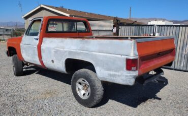 Chevy-truck-1980-3