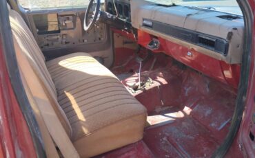 Chevy-truck-1980-4