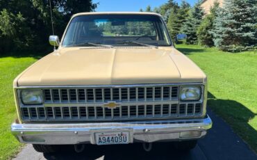 Chevy-truck-1982-custom-1