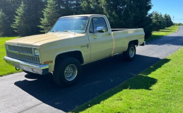 Chevy-truck-1982-custom