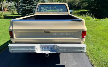 Chevy-truck-1982-custom-4