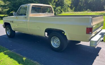 Chevy-truck-1982-custom-5