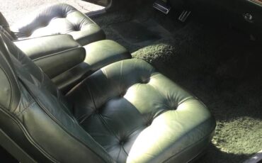 Chrysler-1976-green-12