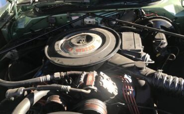 Chrysler-1976-green-13