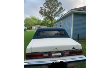 Chrysler-Fifth-avenue-1987-White-Blue-10
