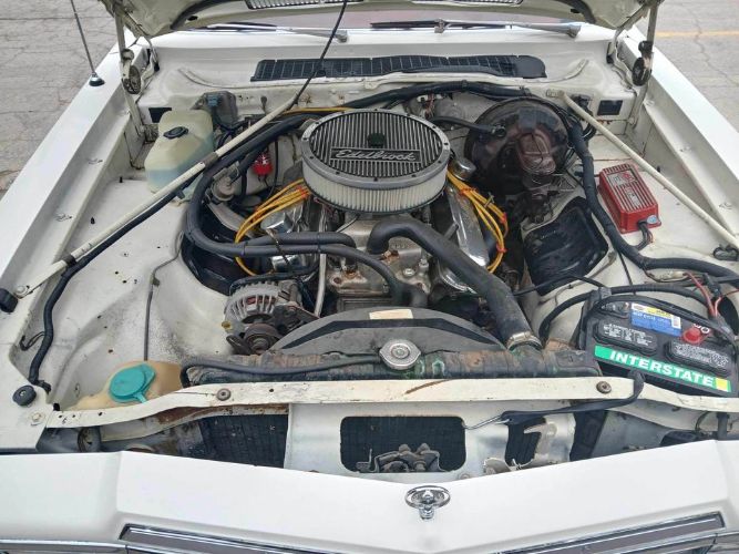 Chrysler-Lebaron-1978-White-2