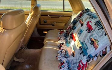 Chrysler-Lebaron-1980-Brown-Ginger-Vinyl-2