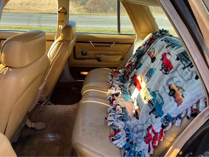 Chrysler-Lebaron-1980-Brown-Ginger-Vinyl-2