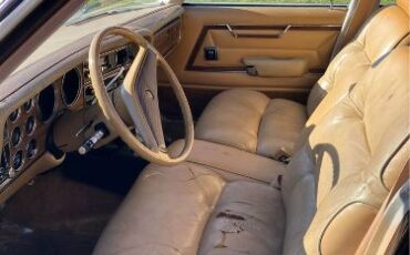 Chrysler-Lebaron-1980-Brown-Ginger-Vinyl-3