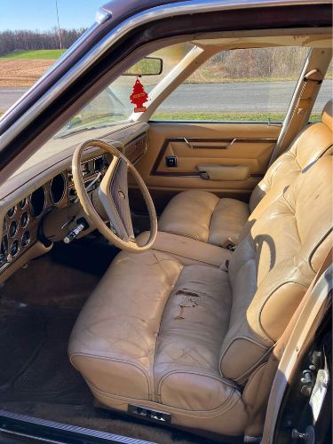 Chrysler-Lebaron-1980-Brown-Ginger-Vinyl-3