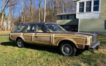 Chrysler-Lebaron-1980-Brown-Ginger-Vinyl