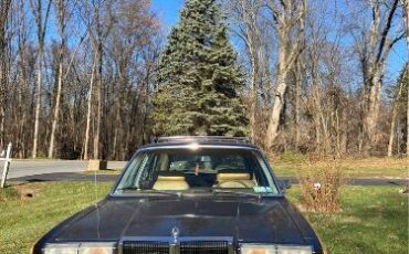 Chrysler-Lebaron-1980-Brown-Ginger-Vinyl-4