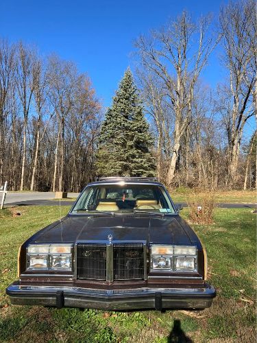 Chrysler-Lebaron-1980-Brown-Ginger-Vinyl-4