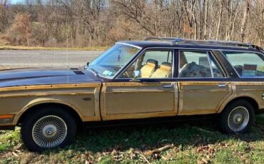 Chrysler-Lebaron-1980-Brown-Ginger-Vinyl-5