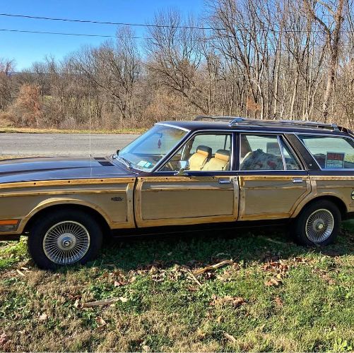 Chrysler-Lebaron-1980-Brown-Ginger-Vinyl-5
