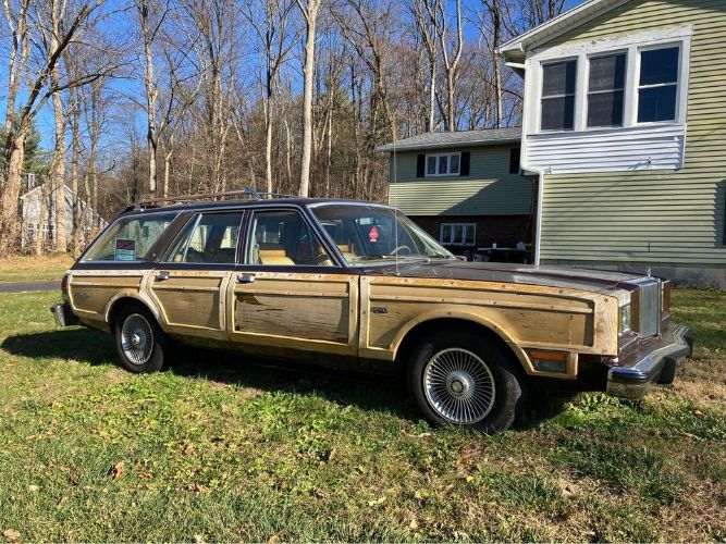 Chrysler-Lebaron-1980-Brown-Ginger-Vinyl