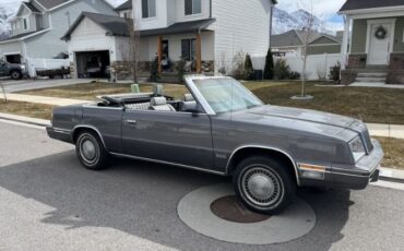 Chrysler-Lebaron-1984-Gray-Gray