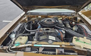 Chrysler-Newport-1977-Brown-Gold-Cloth-11