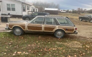 Chrysler-Other-1979