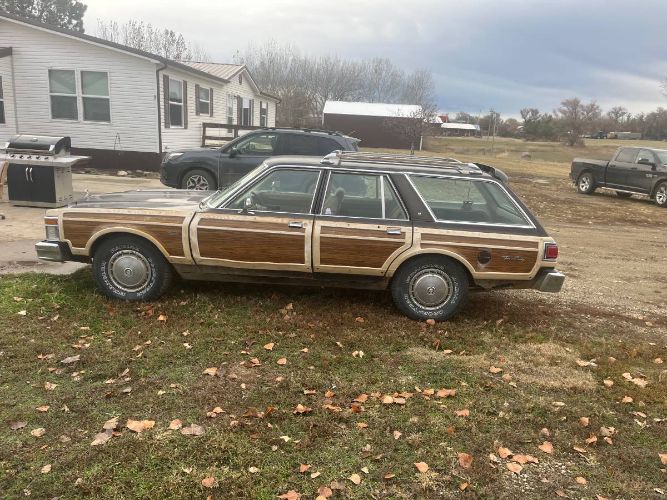 Chrysler-Other-1979