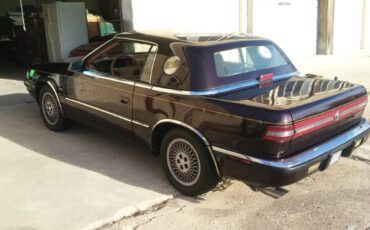 Chrysler-Other-1989-Burgundy-Tan-1