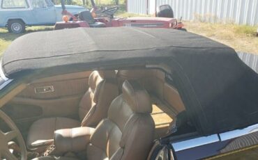 Chrysler-Other-1989-Burgundy-Tan-11